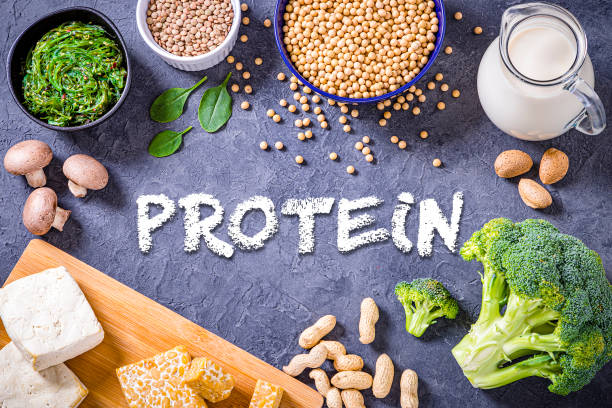 Often Overlooked Plant-Based Protein Sources for Vegans