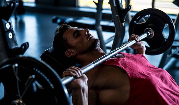 Top 6 Workout Machines Every Gym Bro Needs