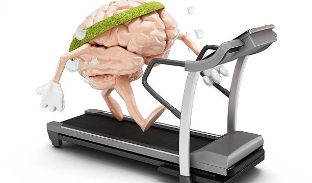 Moderate Physical Activity Found Beneficial to the Brain