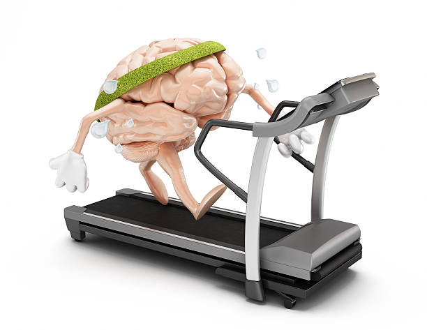Moderate Physical Activity Found Beneficial to the Brain