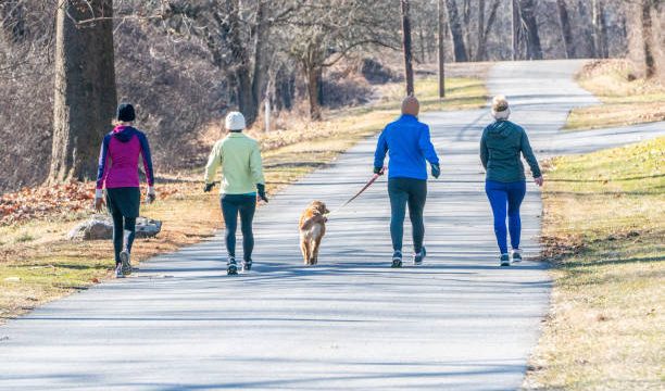 Can Walking 30 Minutes a Day Help You Lose Weight?