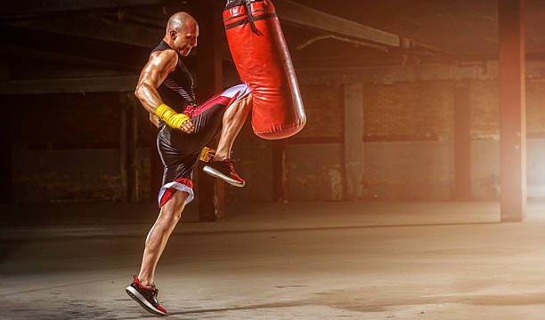 Guide to Choosing the Perfect Punching Bag for You