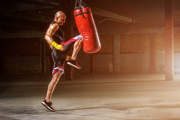 The Advantages of Owning a Punching Bag