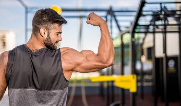 How to Build Impressive Arm Muscles