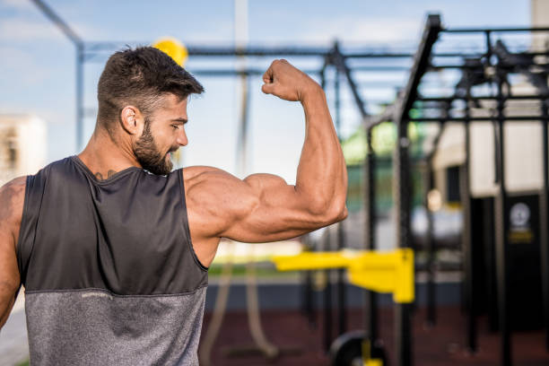 How to Build Impressive Arm Muscles